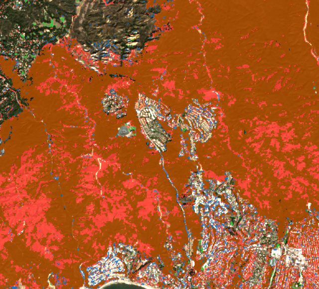The Palisades fire, Los Angeles: dark orange squares across the burned hills, and red where plants were lost